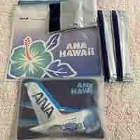 ANA フライングホヌ　記念品　プレミアムエコノミー Amazon.co.jp: ANA フライングホヌ プレミアムエコノミー